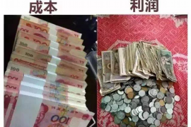 北京为什么选择专业追讨公司来处理您的债务纠纷？